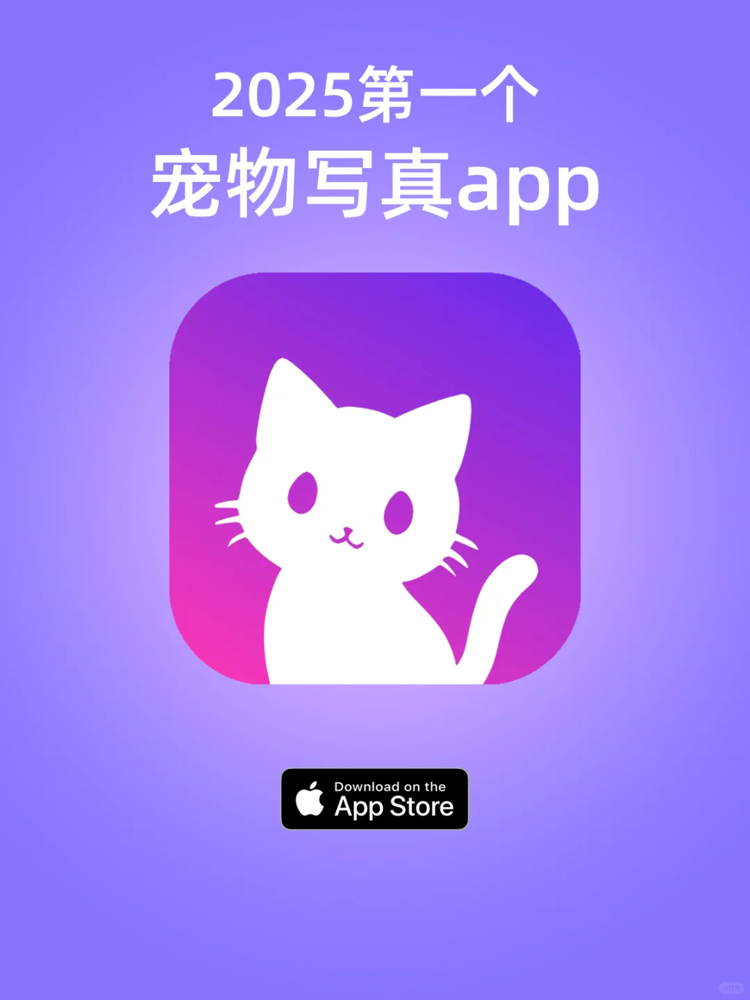 清华男大爆肝四个月 宠物定制写真app上线