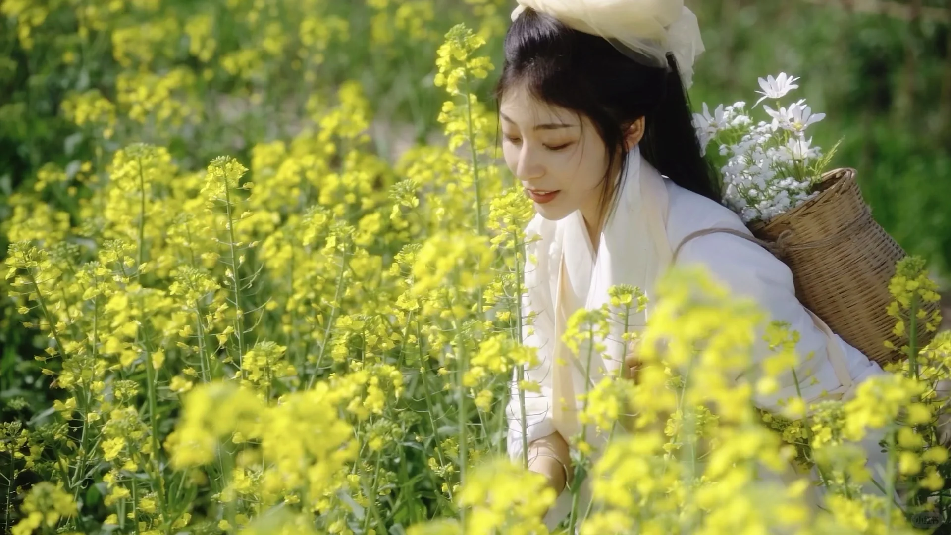 相机拍的live图 高清的美！