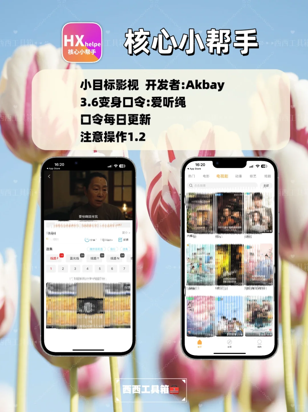 苹果追剧天花板，大师兄回归