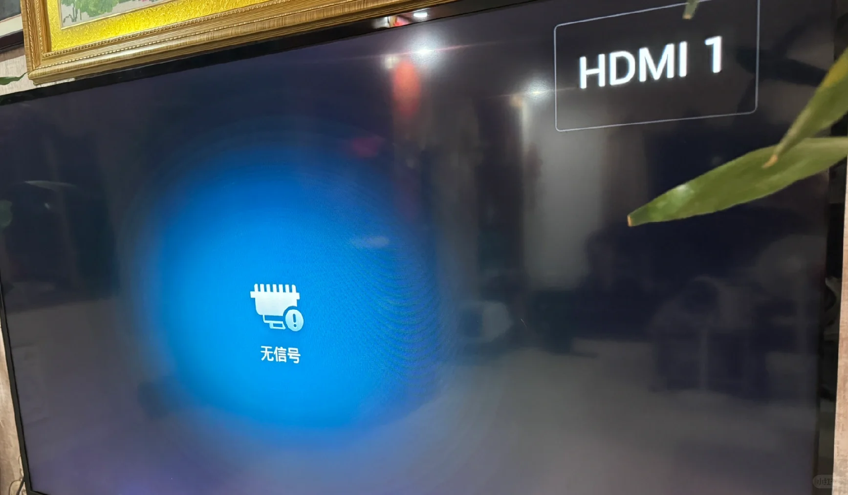 求助 switch连不上电视