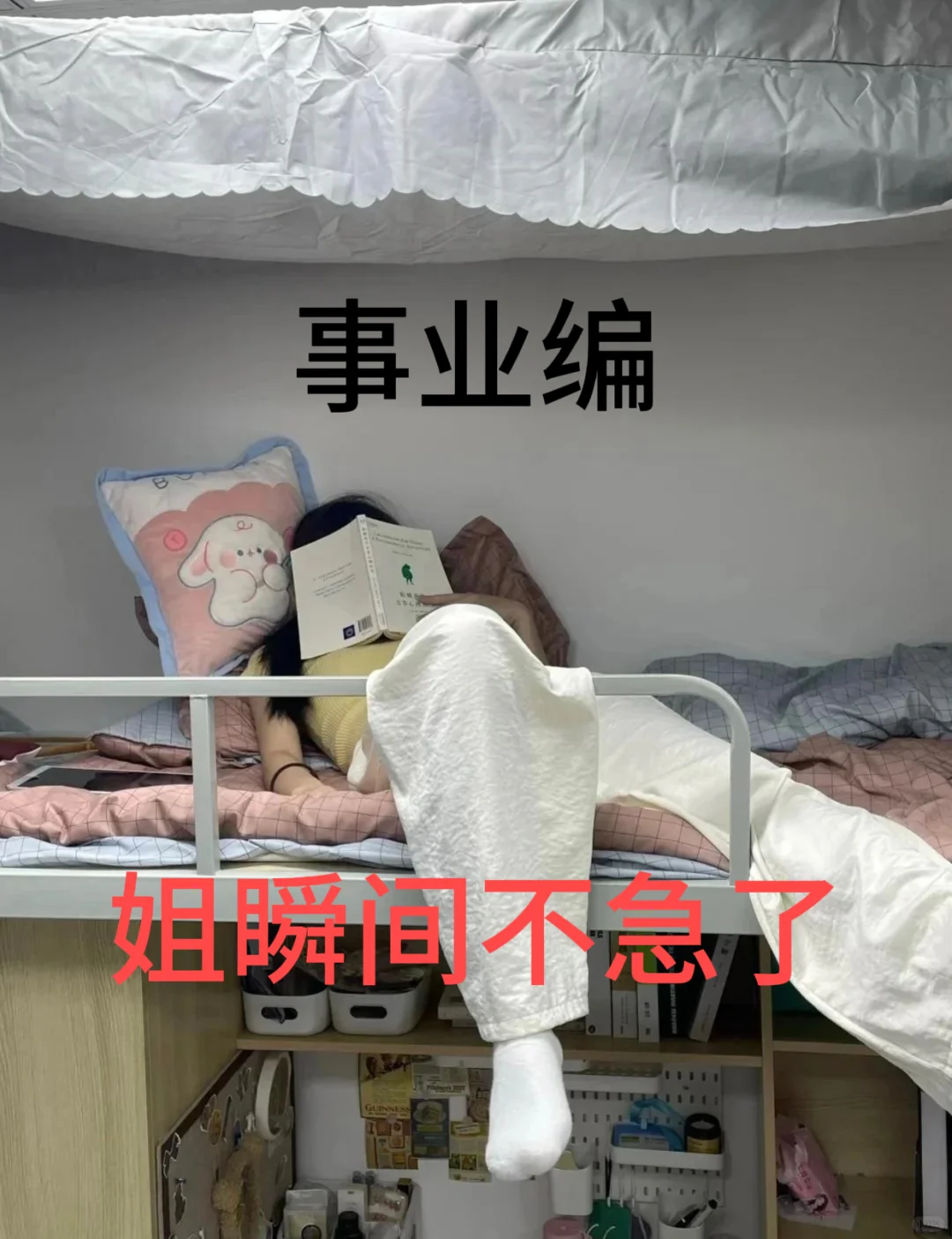 事业编，巨好用的app呐