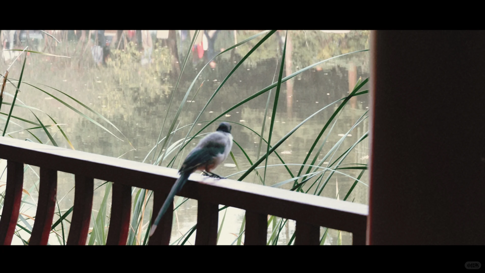 长沙的每一帧 都是电影🎬