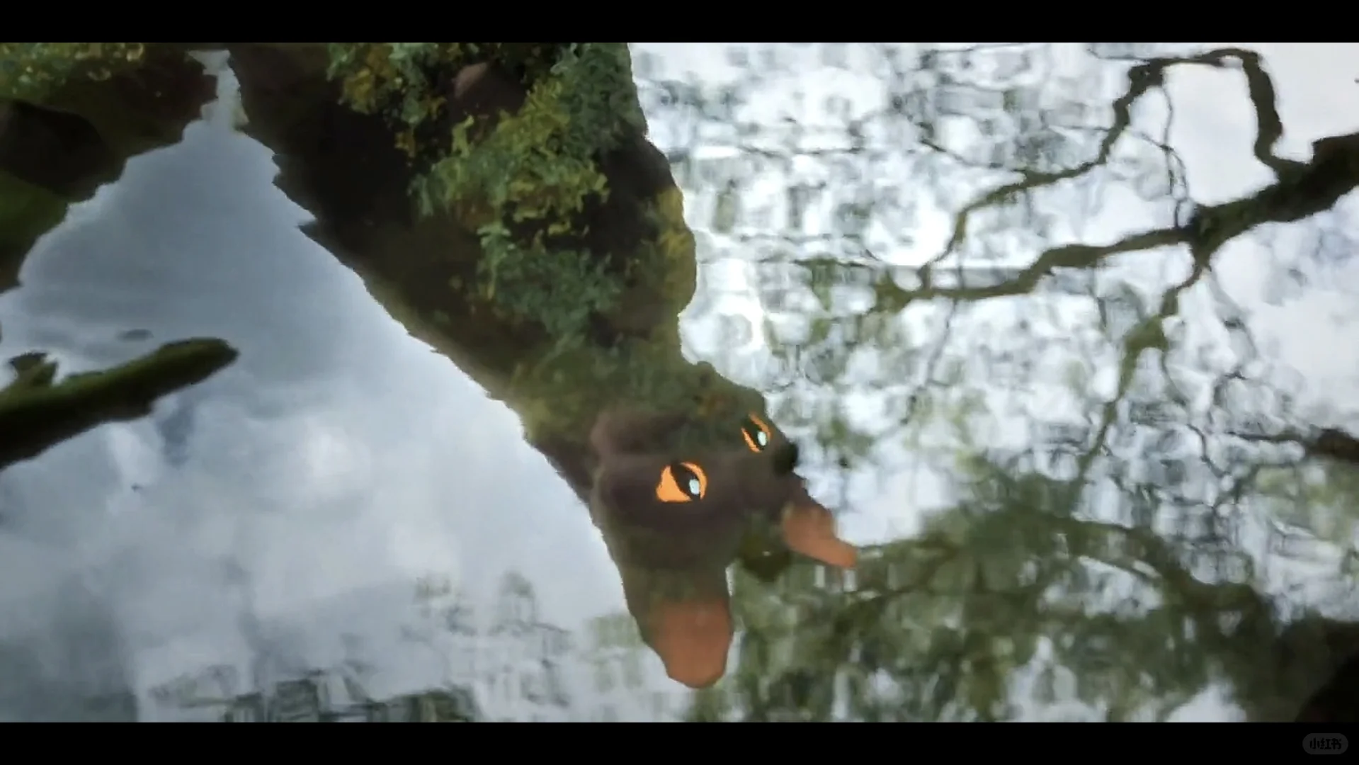 强烈推荐这部电影!