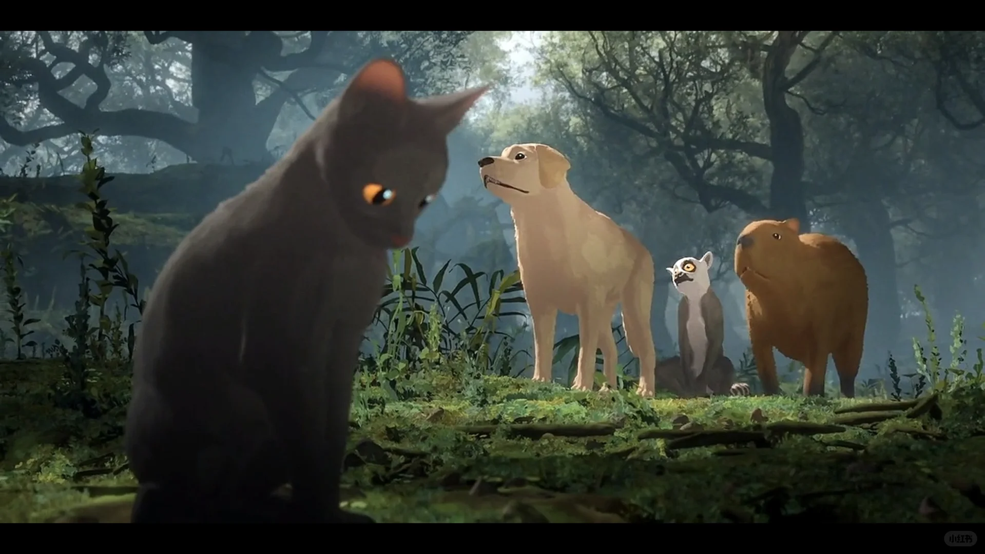 强烈推荐这部电影!