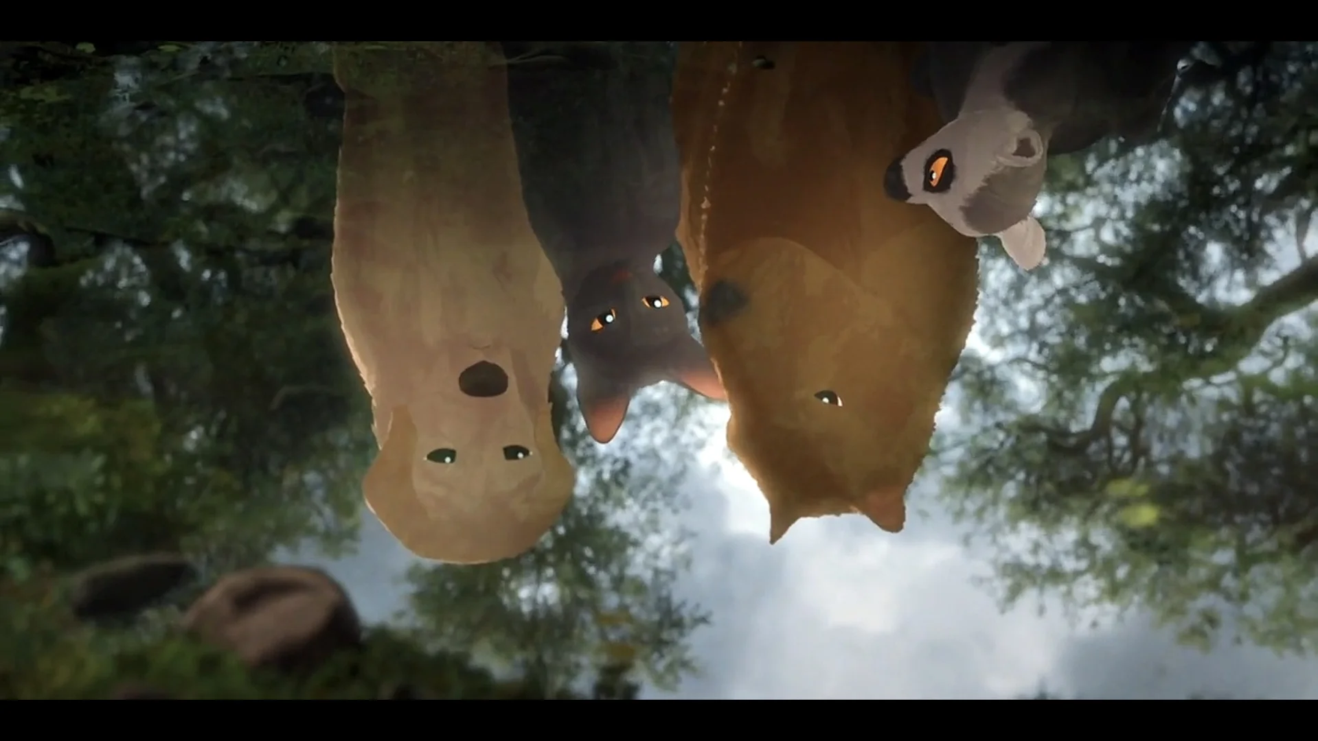 强烈推荐这部电影!