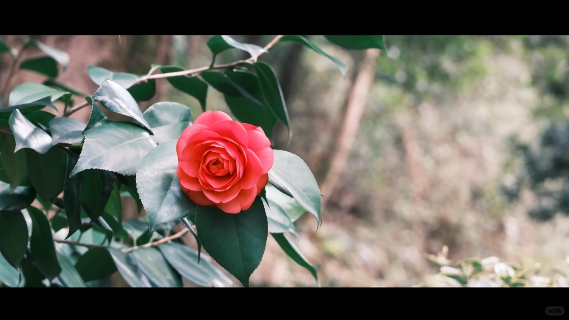 长沙的每一帧 都是电影🎬