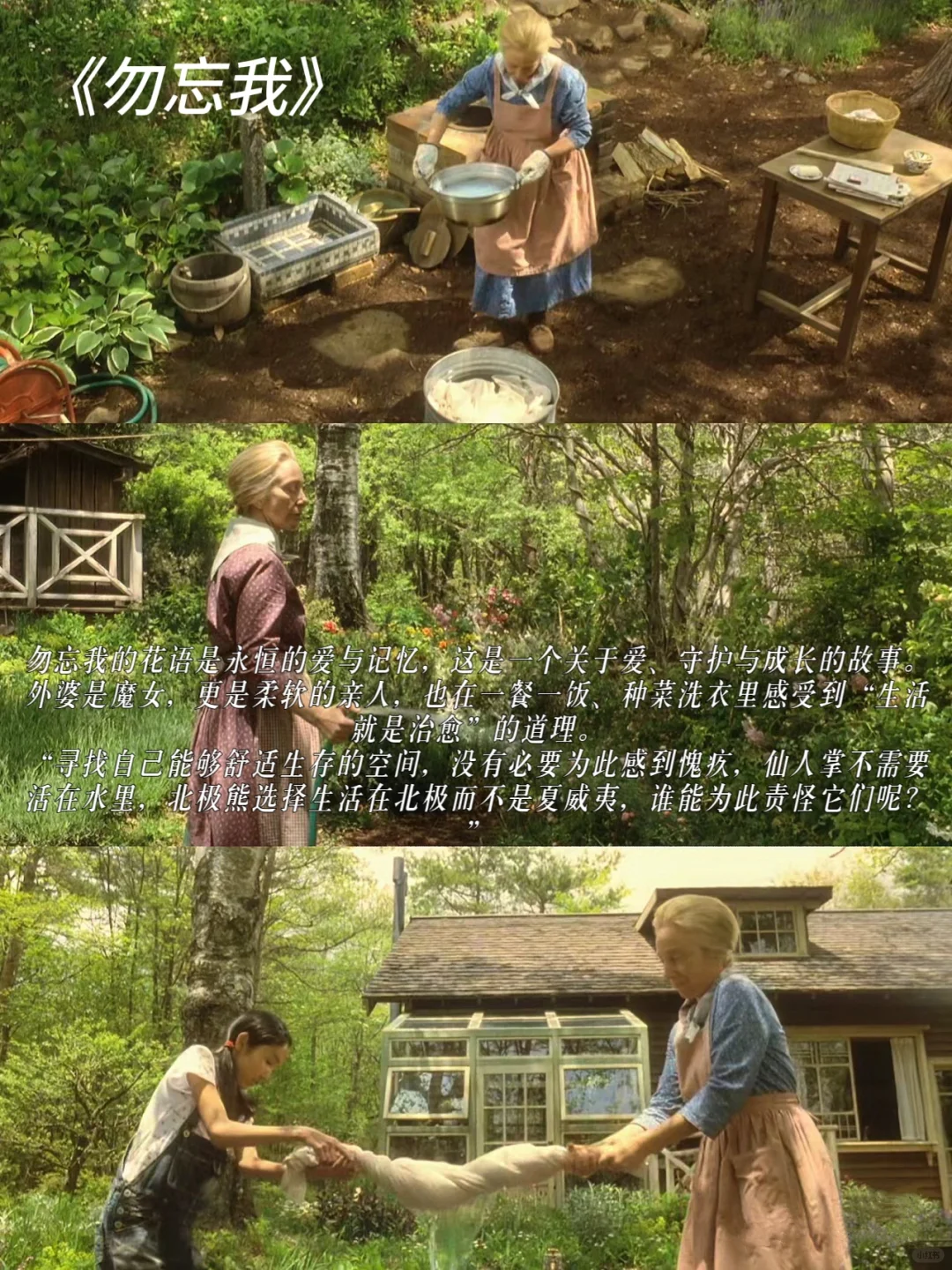 好适合春天看🍀9部治愈度爆表的田园风电影