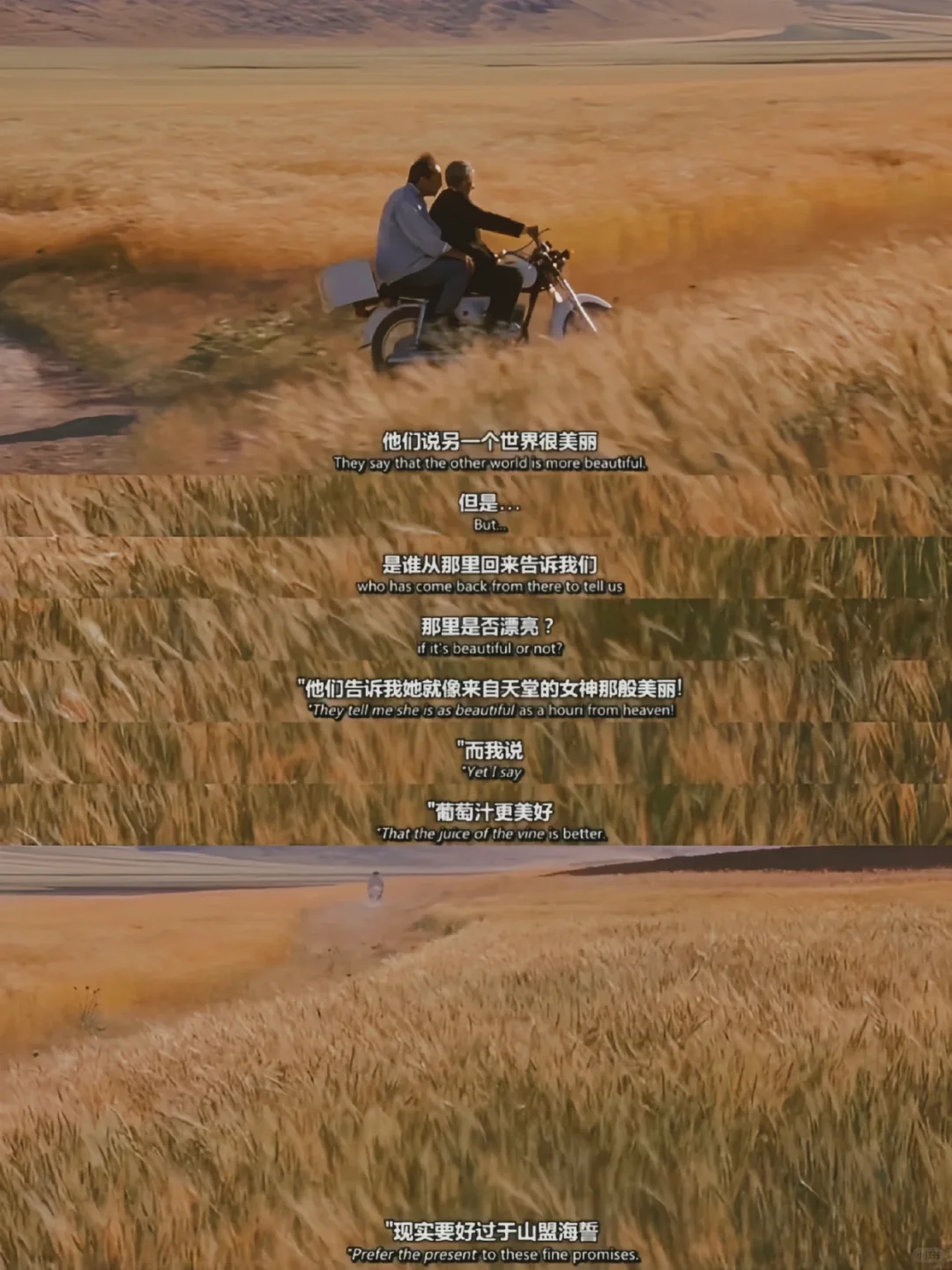 想向全世界安利这部电影😭后悔现在才看❗️