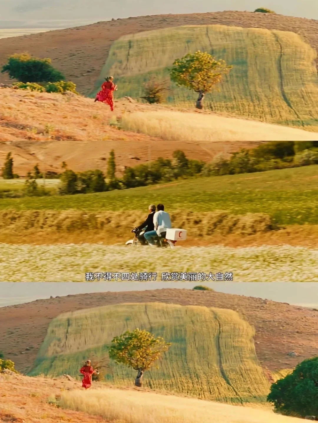 想向全世界安利这部电影😭后悔现在才看❗️