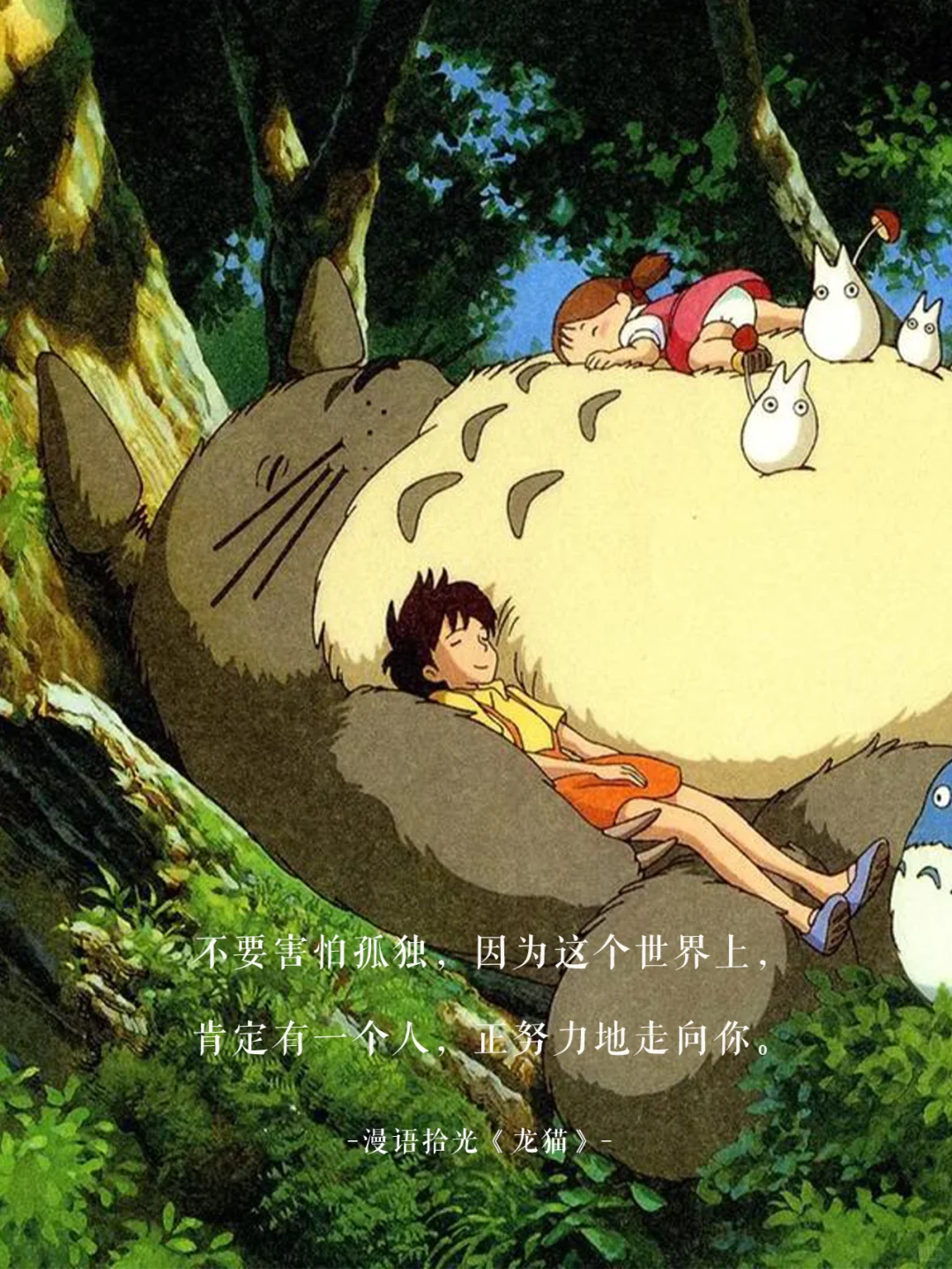 🌿那些年《龙猫》电影温暖到心底的台词✨