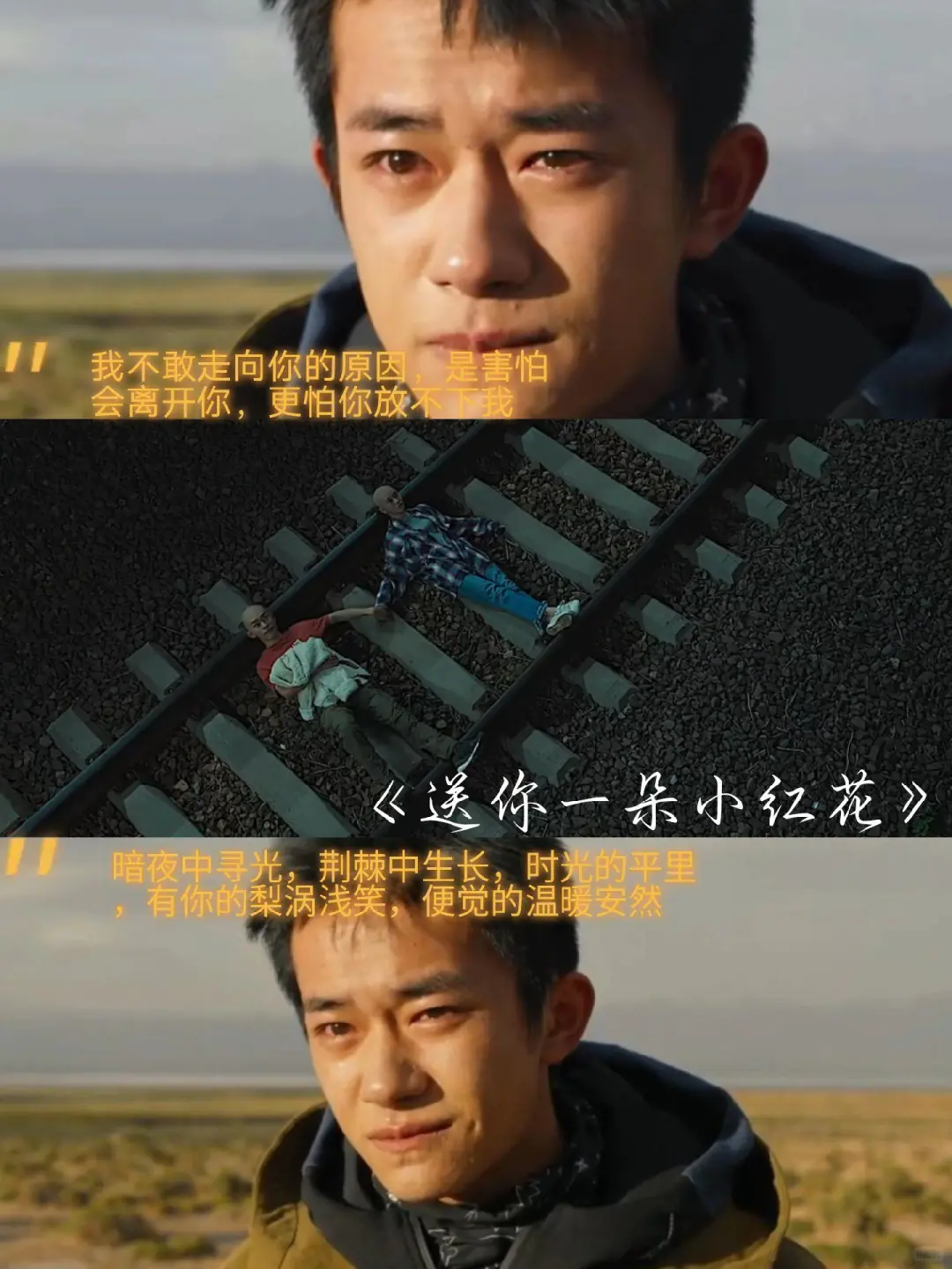 推荐6部催泪电影🎬