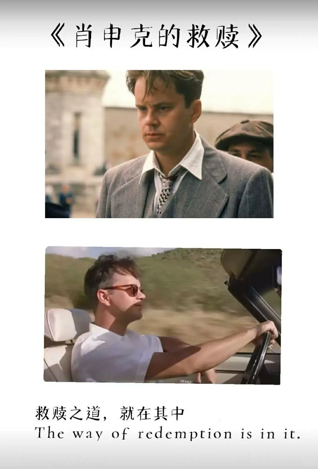 人生必看的十部电影