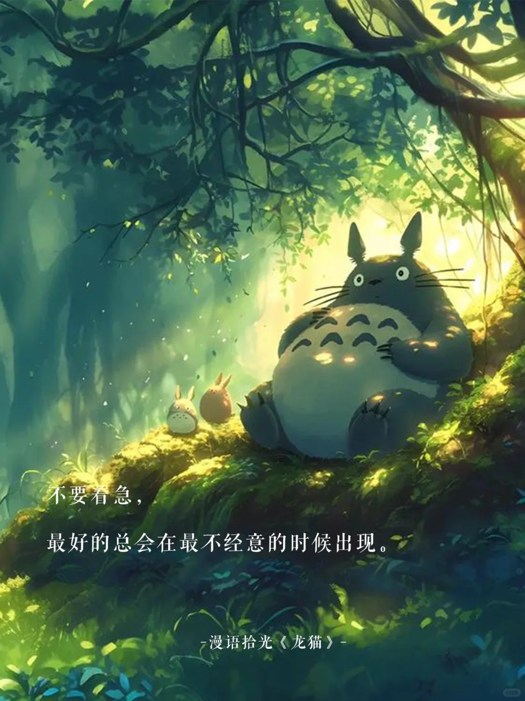 🌿那些年《龙猫》电影温暖到心底的台词✨