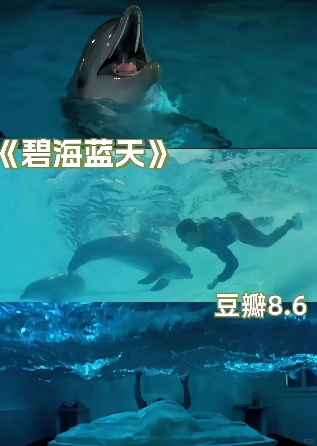 看电影不仅是享受，也是在治愈身体的疲惫