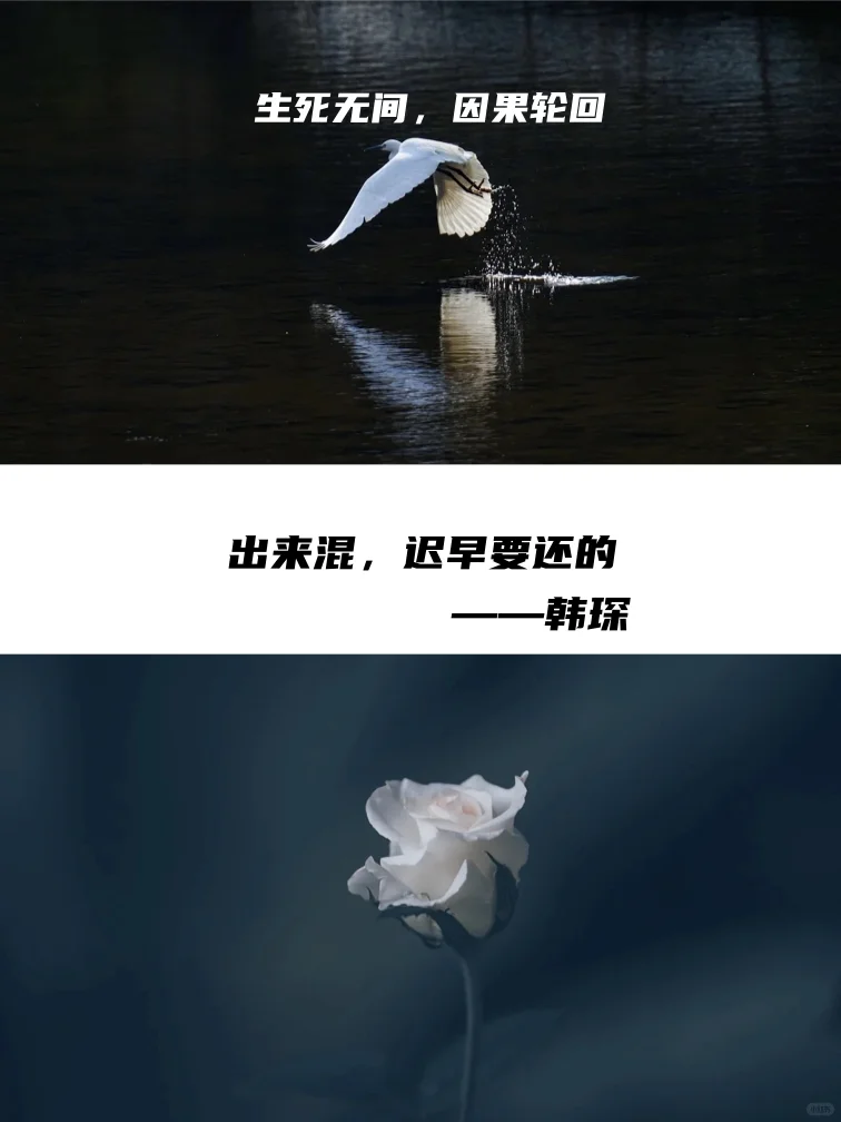 那些年震撼我们心灵的电影台词