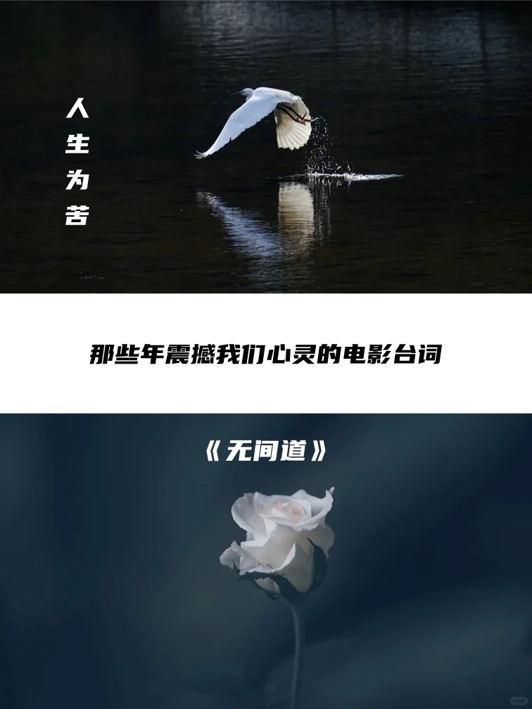 那些年震撼我们心灵的电影台词