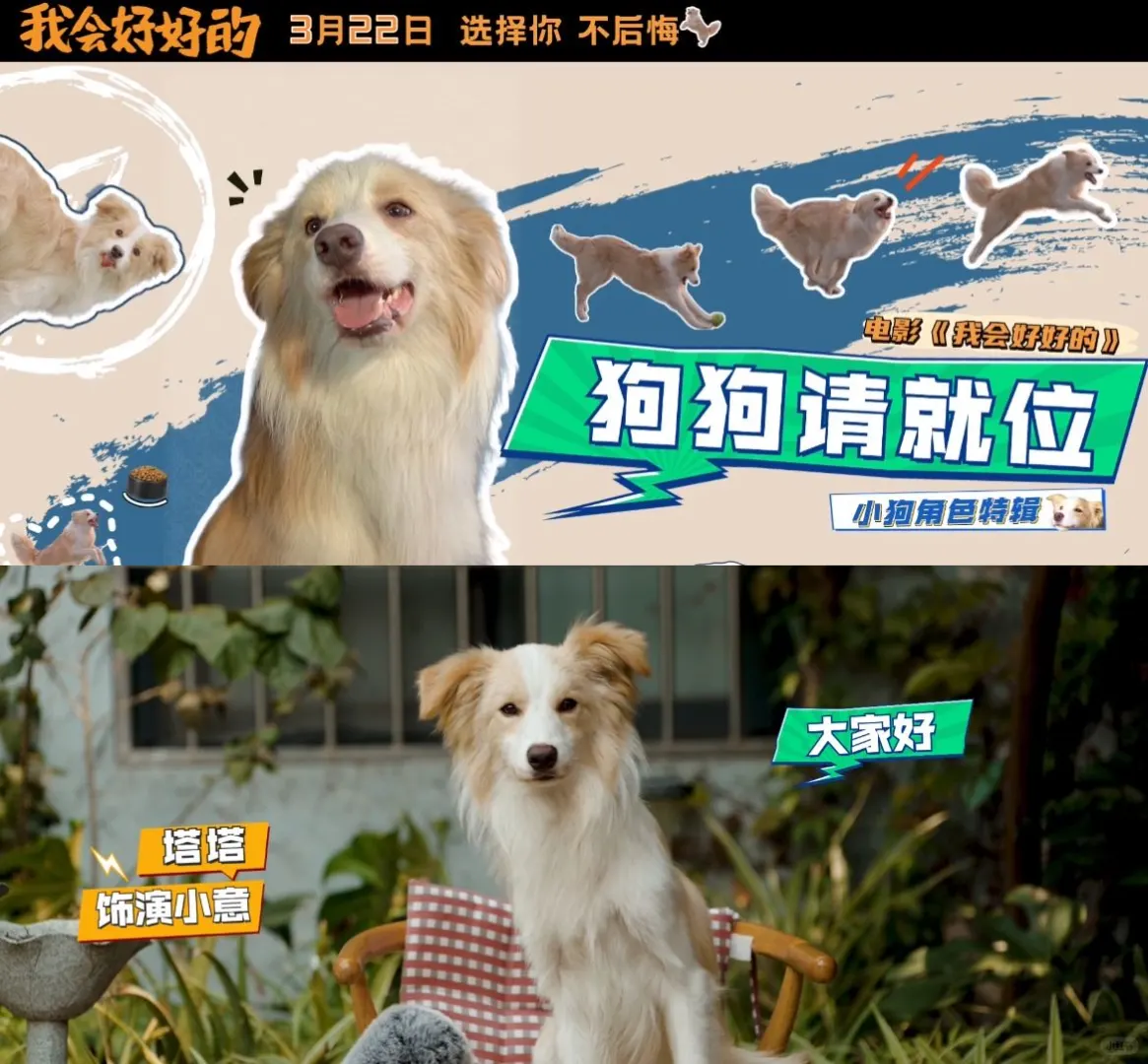 你有这样的天才小狗狗演员进入电影院