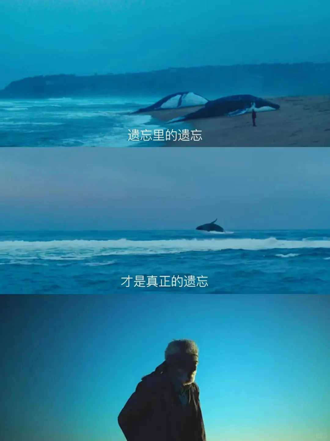 ❗️❗️后劲最大的电影😭没有之一❗️❗