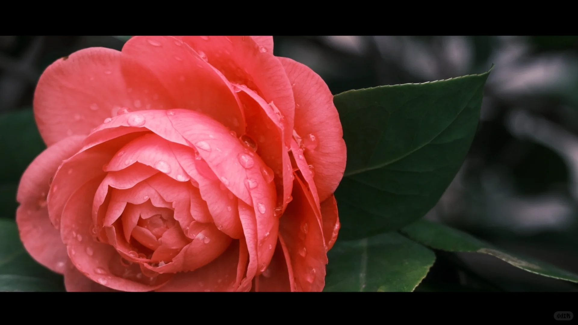 长沙的每一帧 都是电影🎬