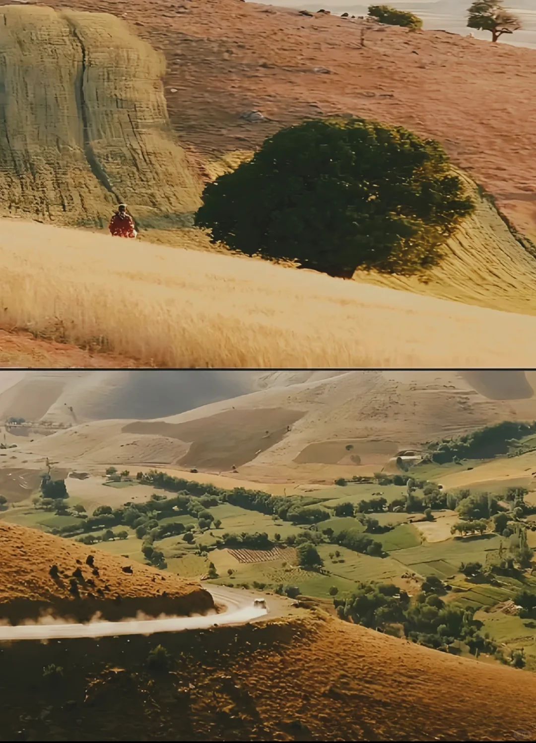 想向全世界安利这部电影😭后悔现在才看❗️