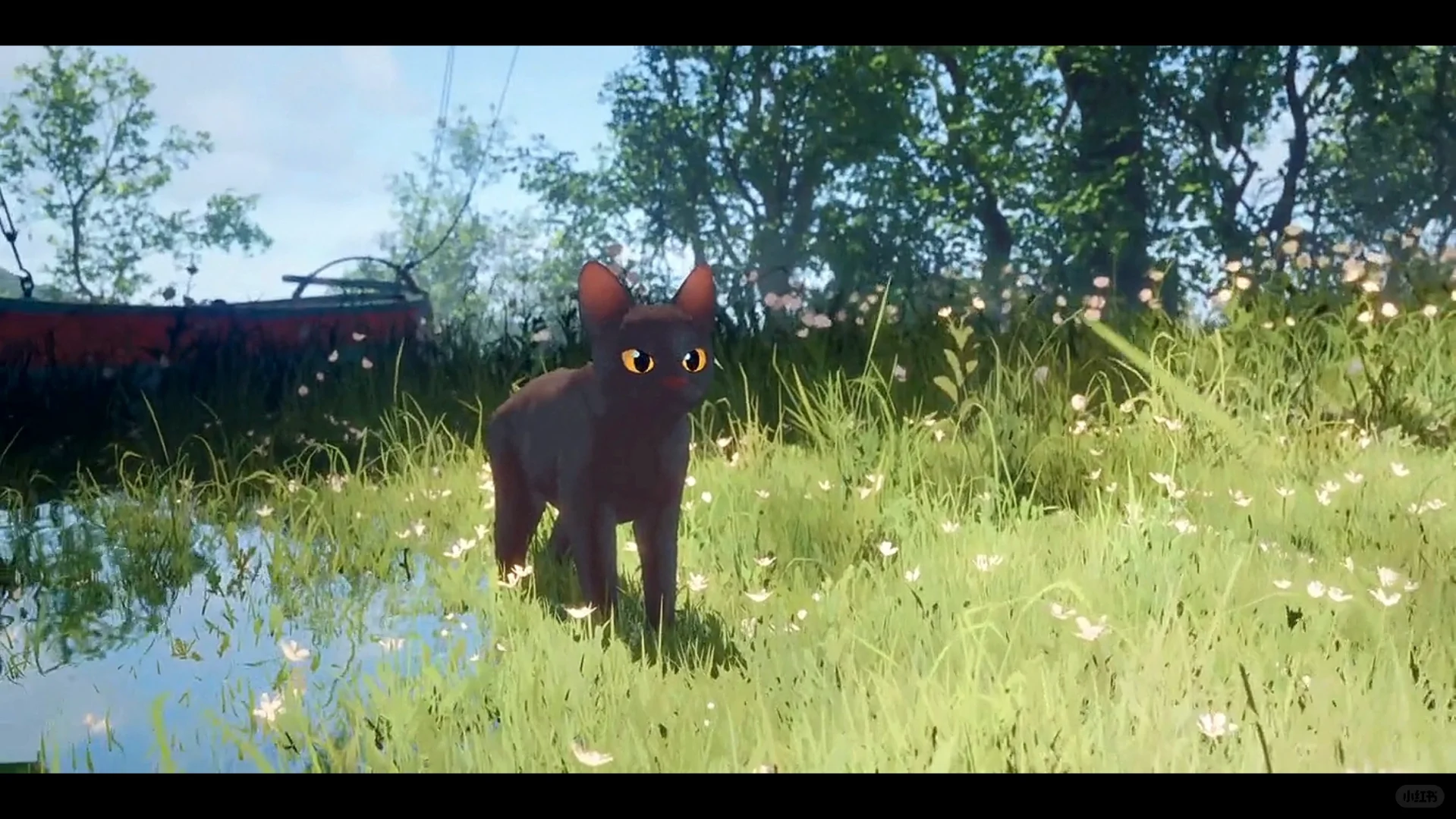 强烈推荐这部电影!