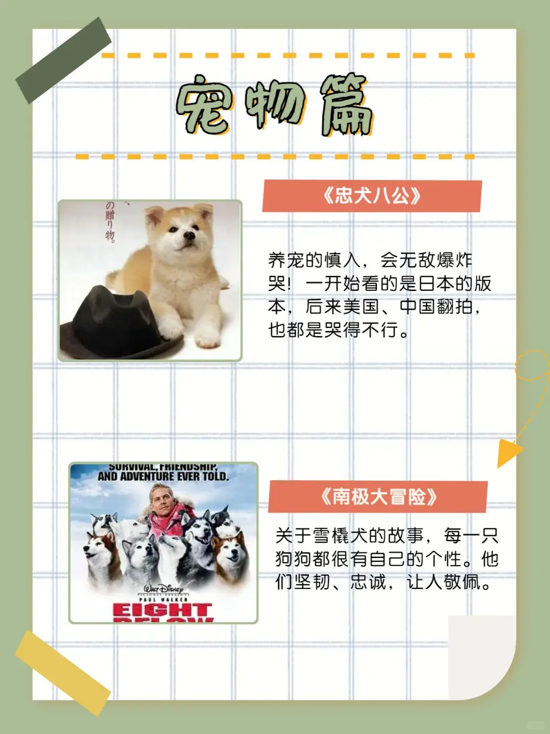 周末适合好好哭一哭的电影