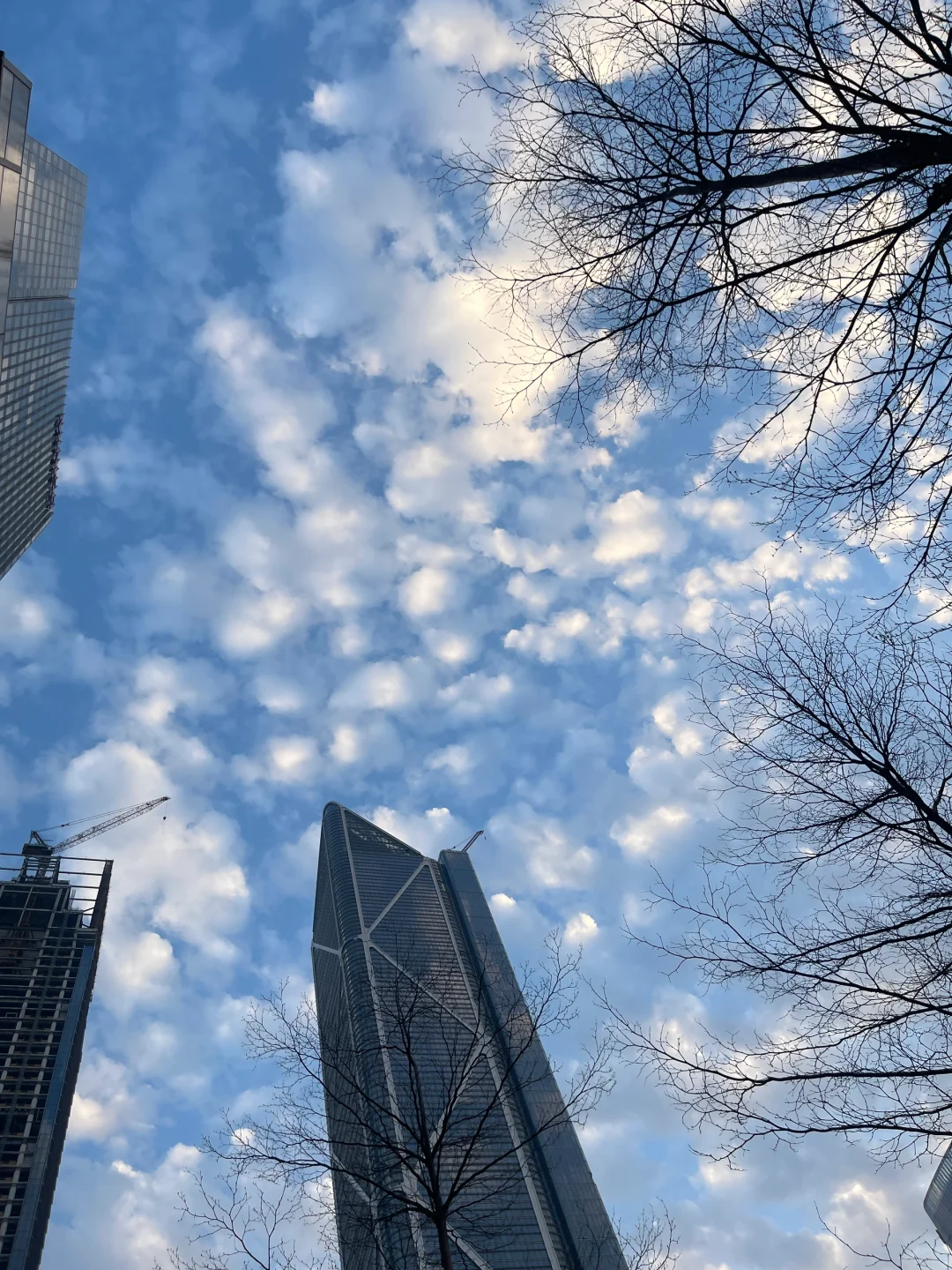 这周我要连看三天电影