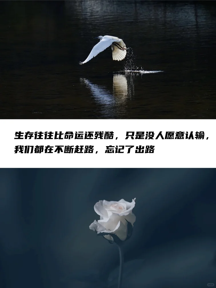 那些年震撼我们心灵的电影台词