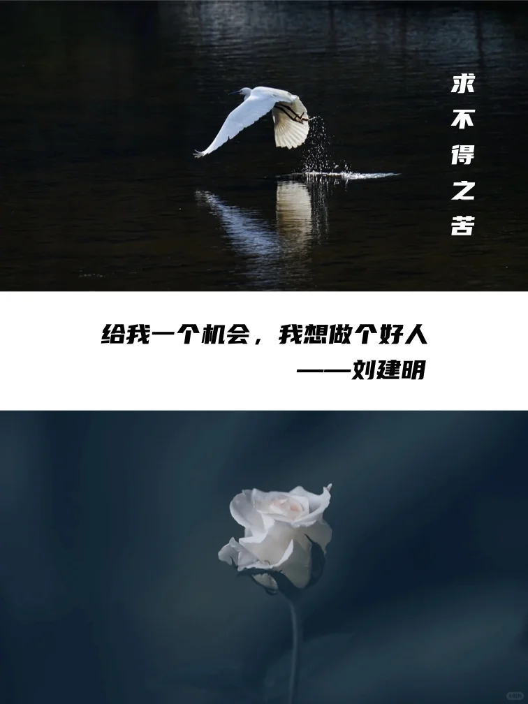 那些年震撼我们心灵的电影台词