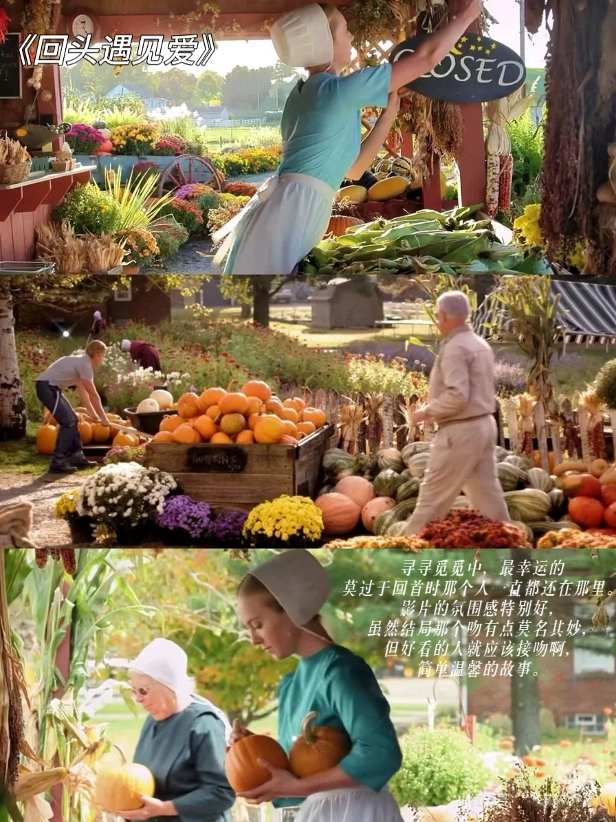 好适合春天看🍀9部治愈度爆表的田园风电影