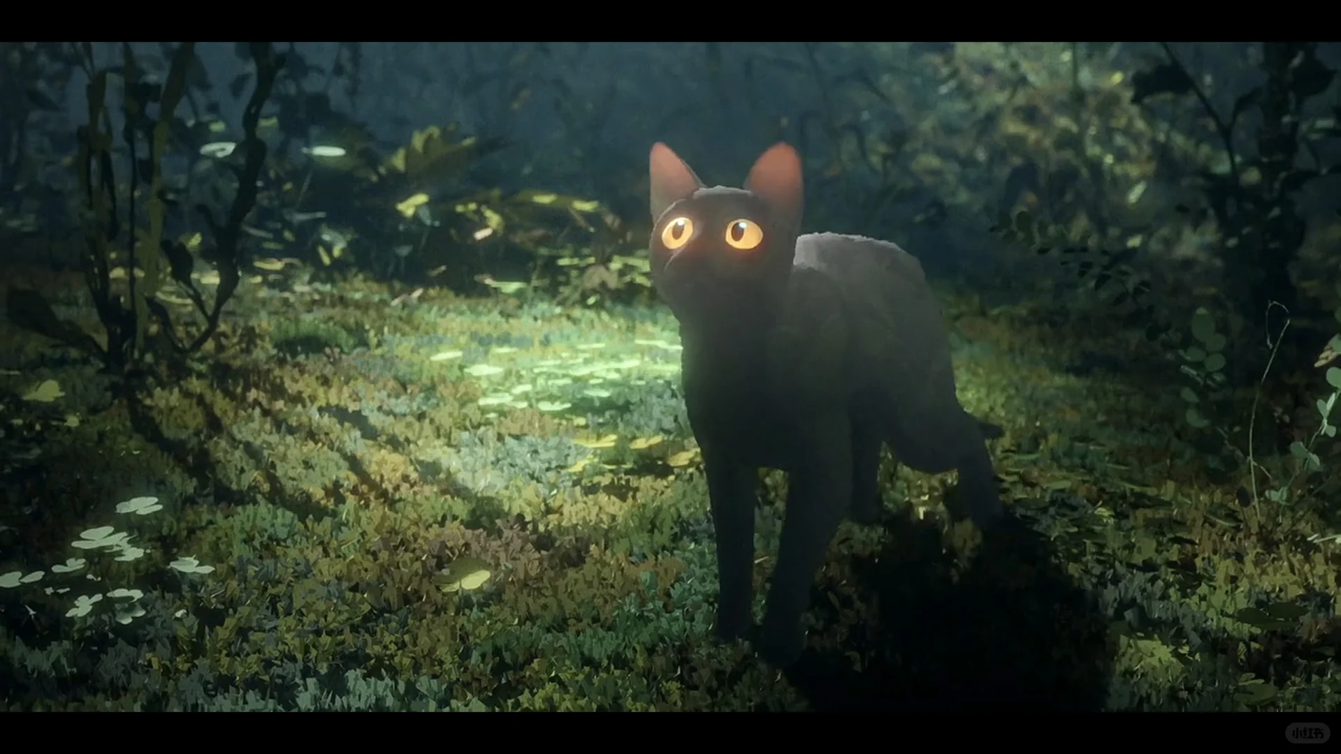 强烈推荐这部电影!