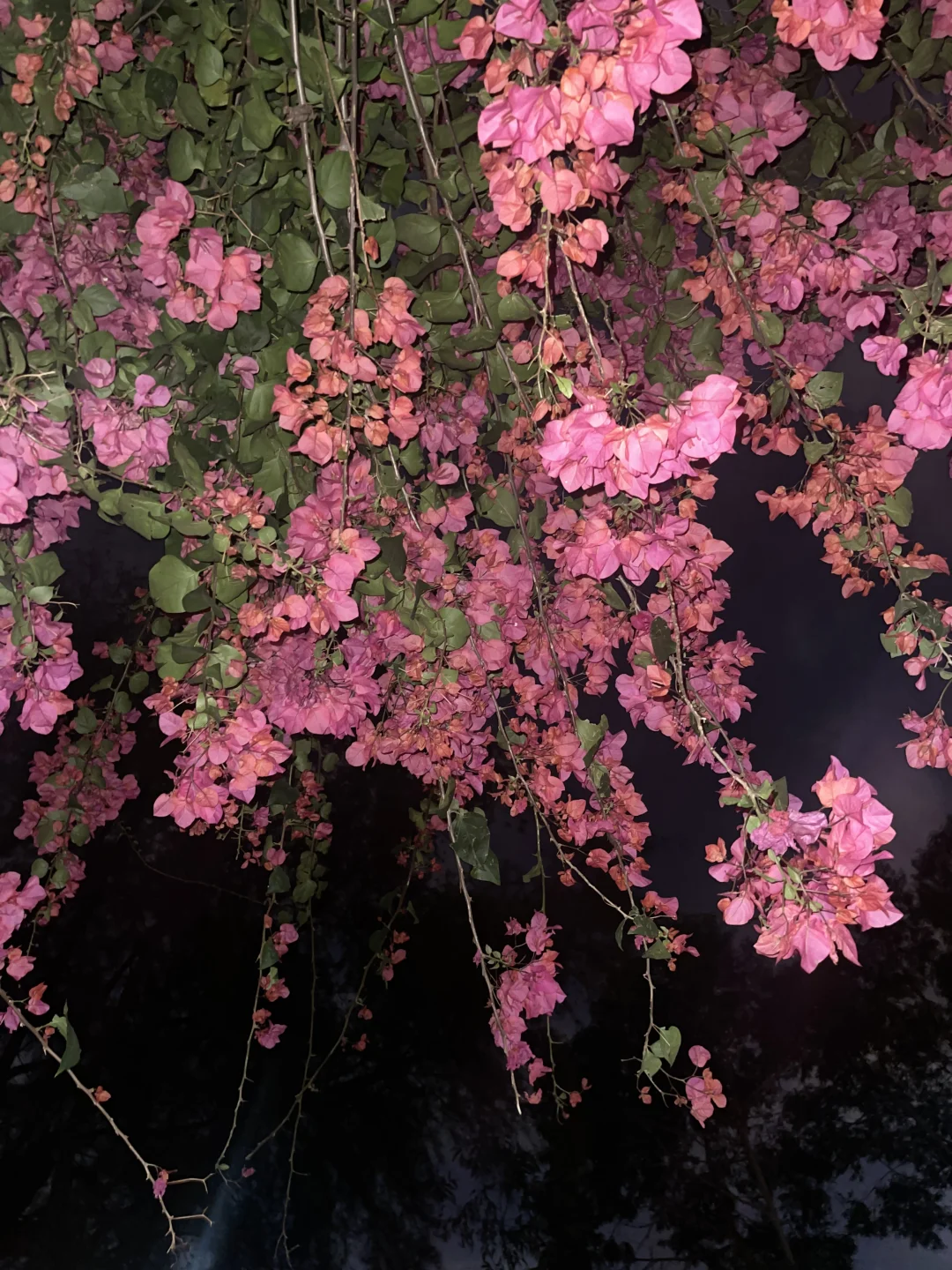 这周我要连看三天电影