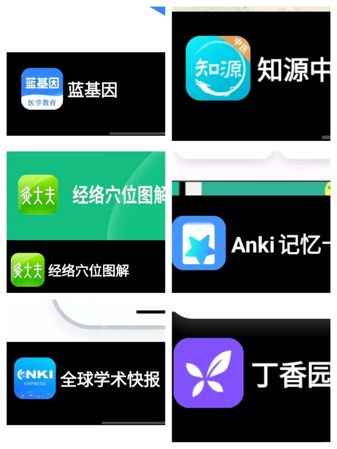 🌿中医学子逆天宝藏APP大公开｜从挂科到学霸