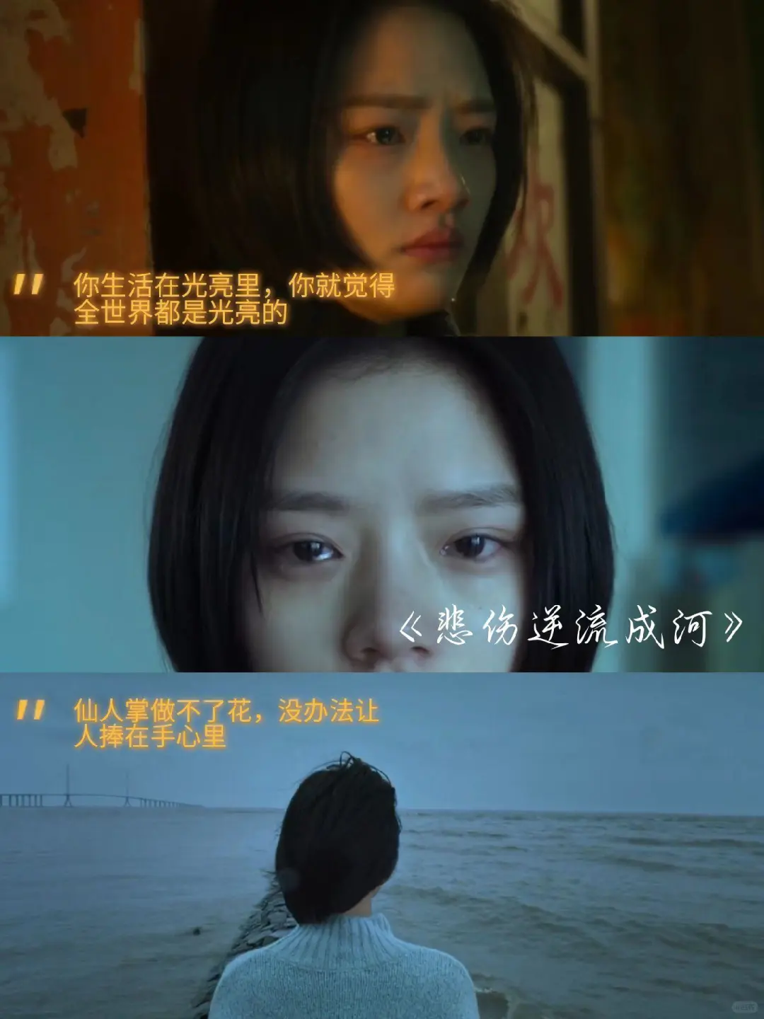 推荐6部催泪电影🎬