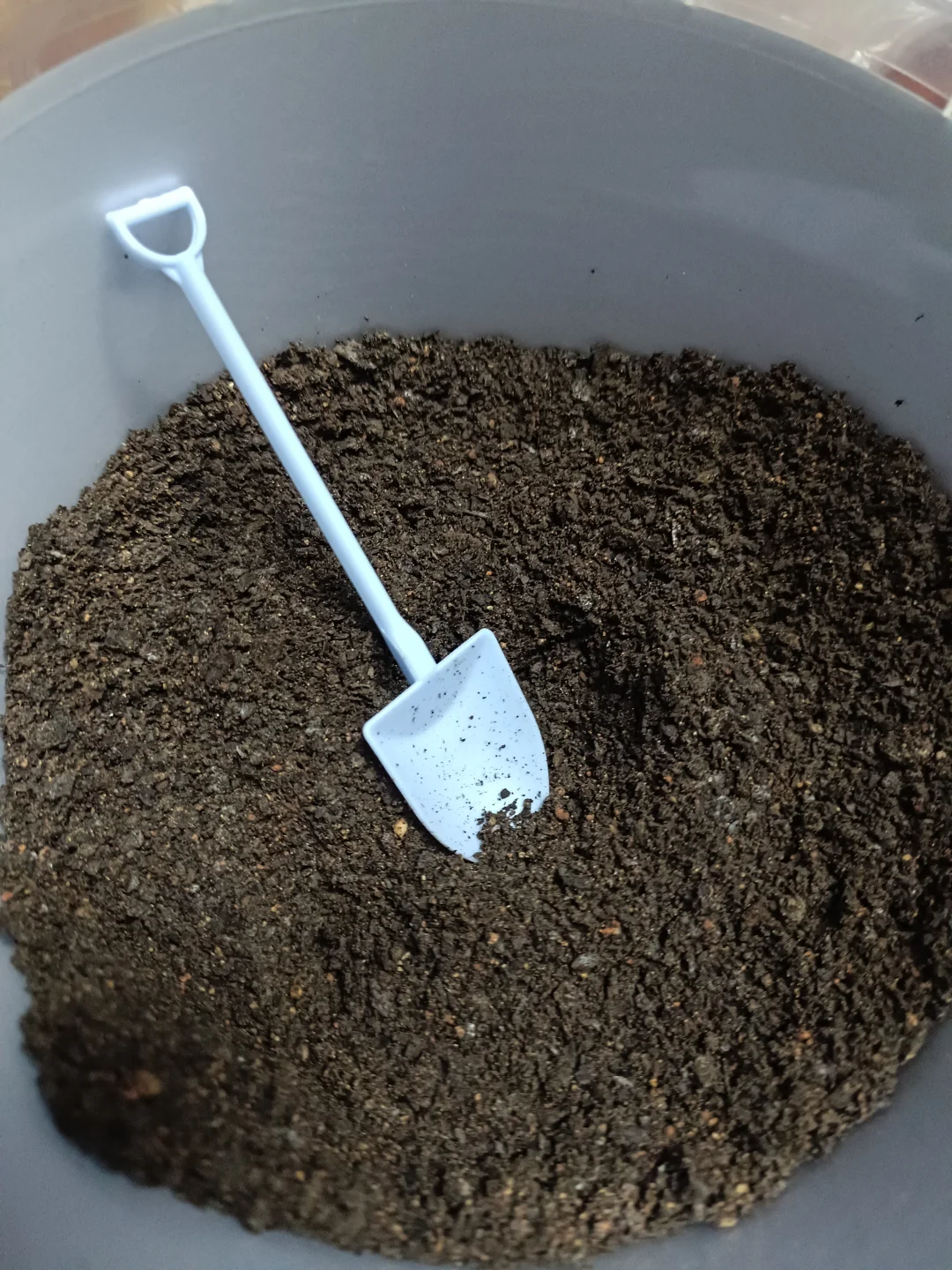 体育课室内电影