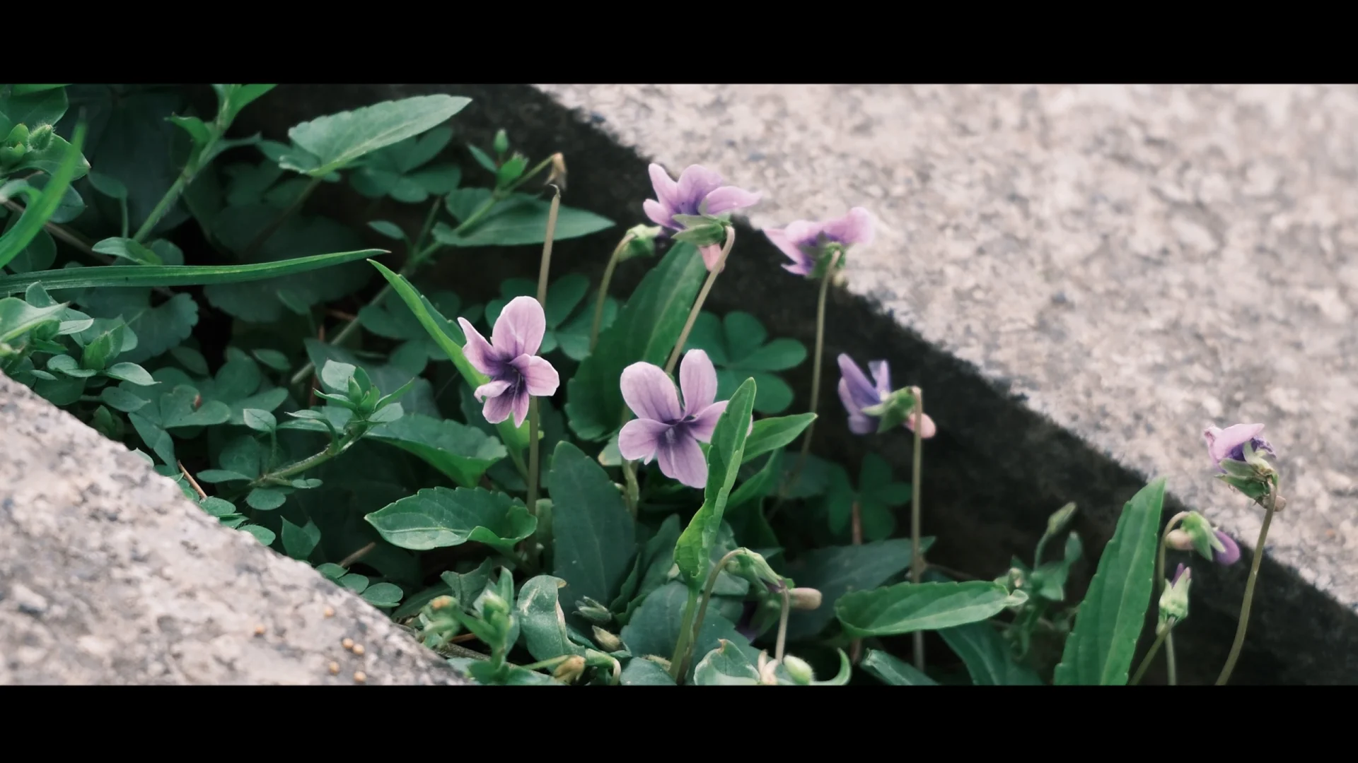 长沙的每一帧 都是电影🎬