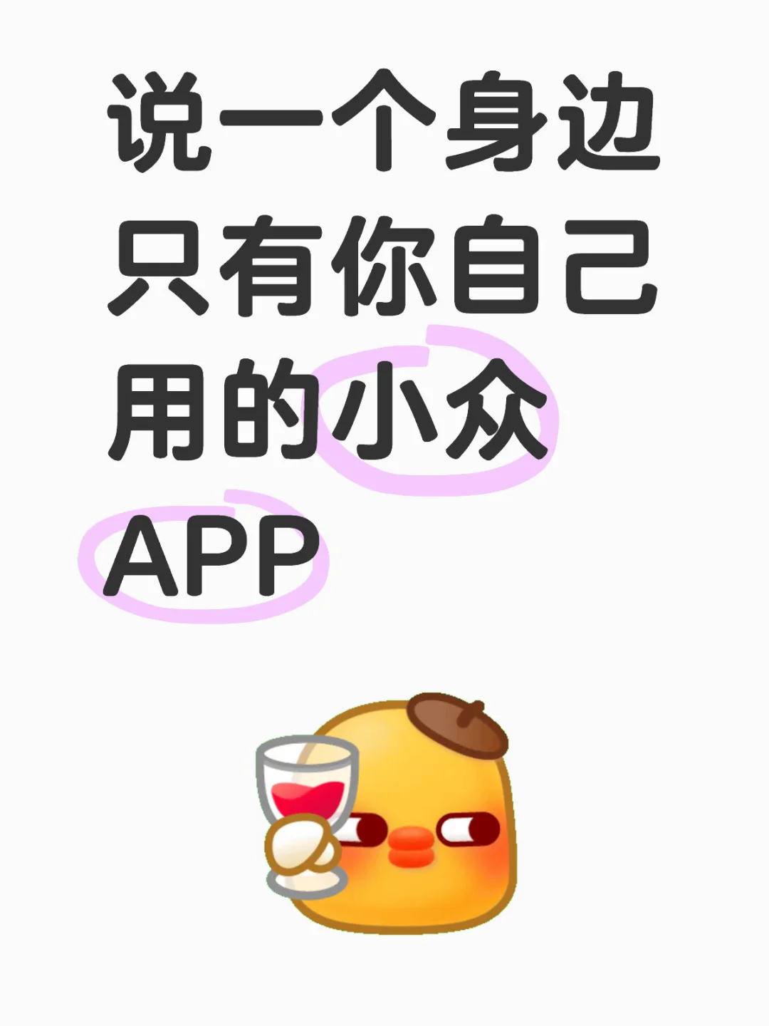一个自用的小众APP