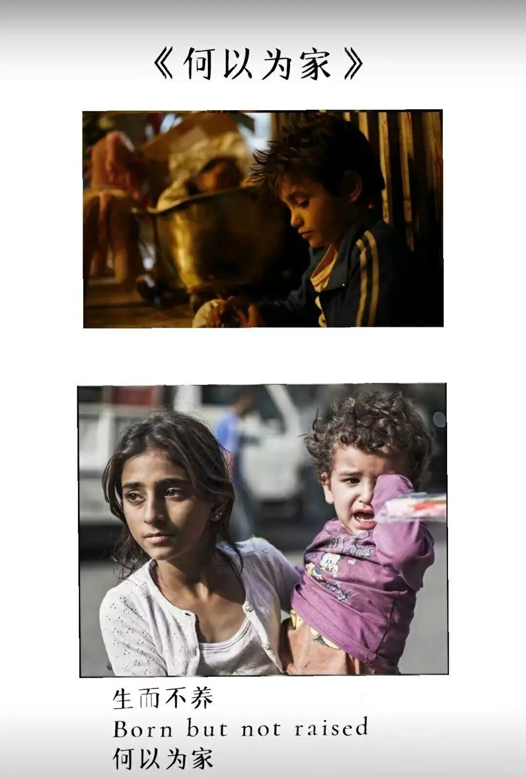 人生必看的十部电影