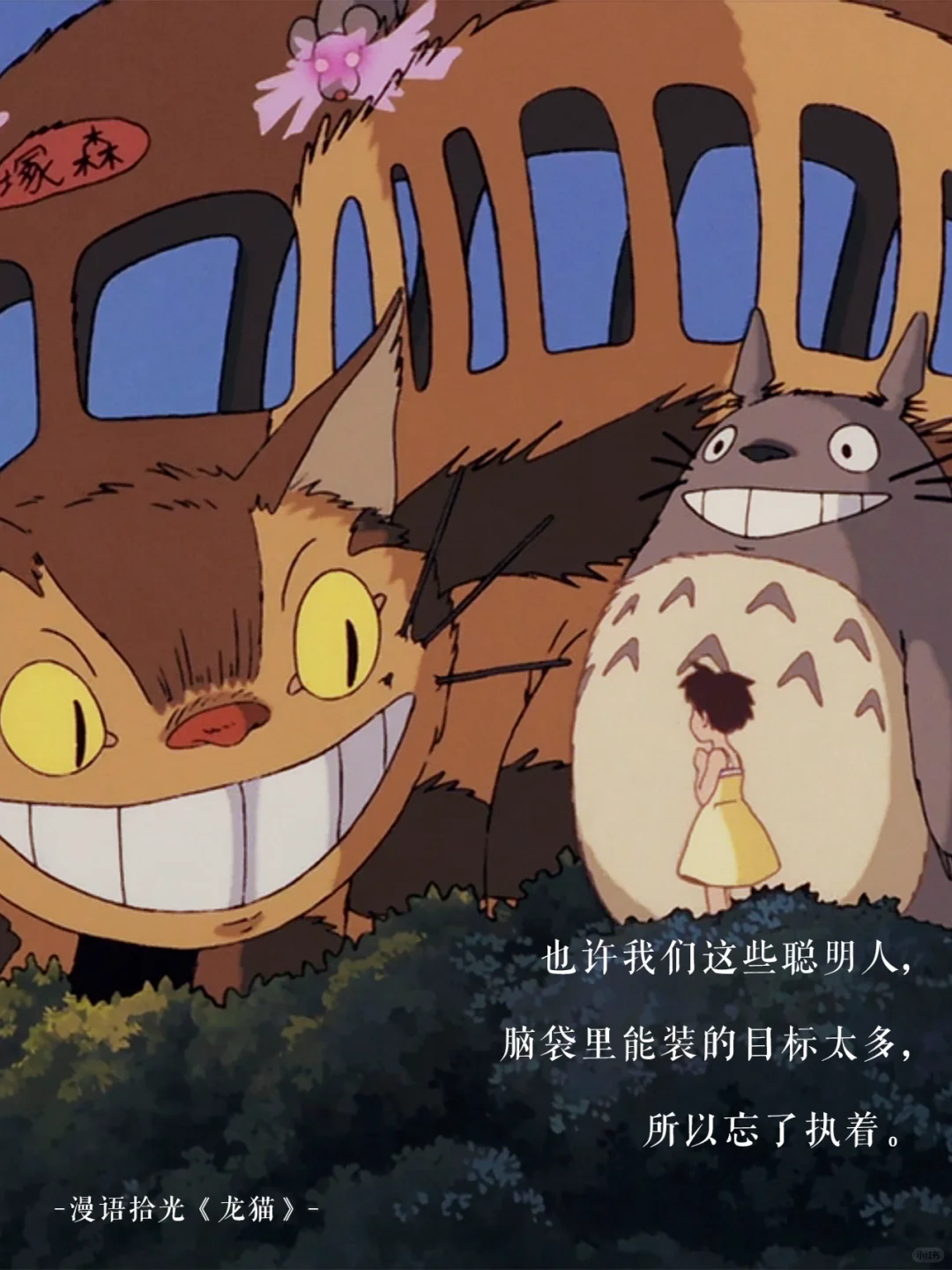 🌿那些年《龙猫》电影温暖到心底的台词✨