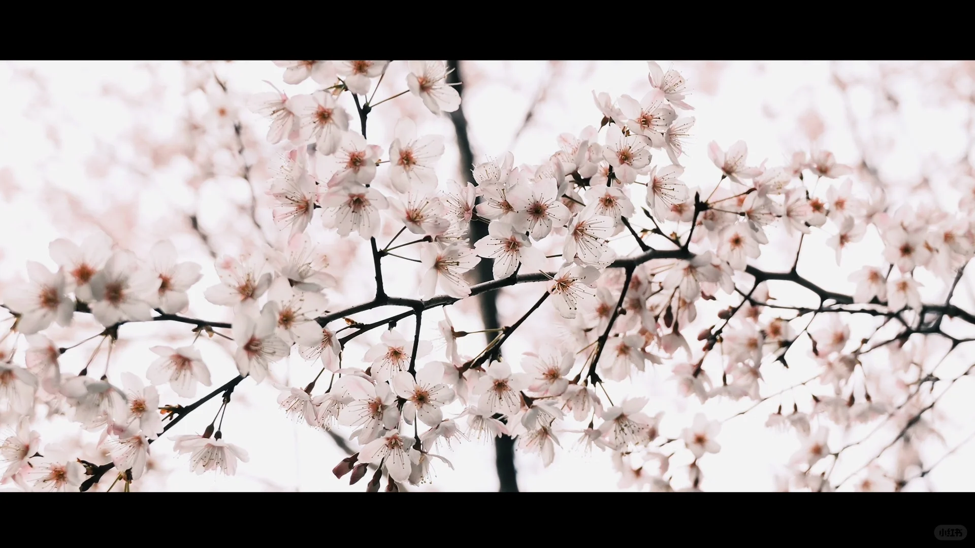 长沙的每一帧 都是电影🎬