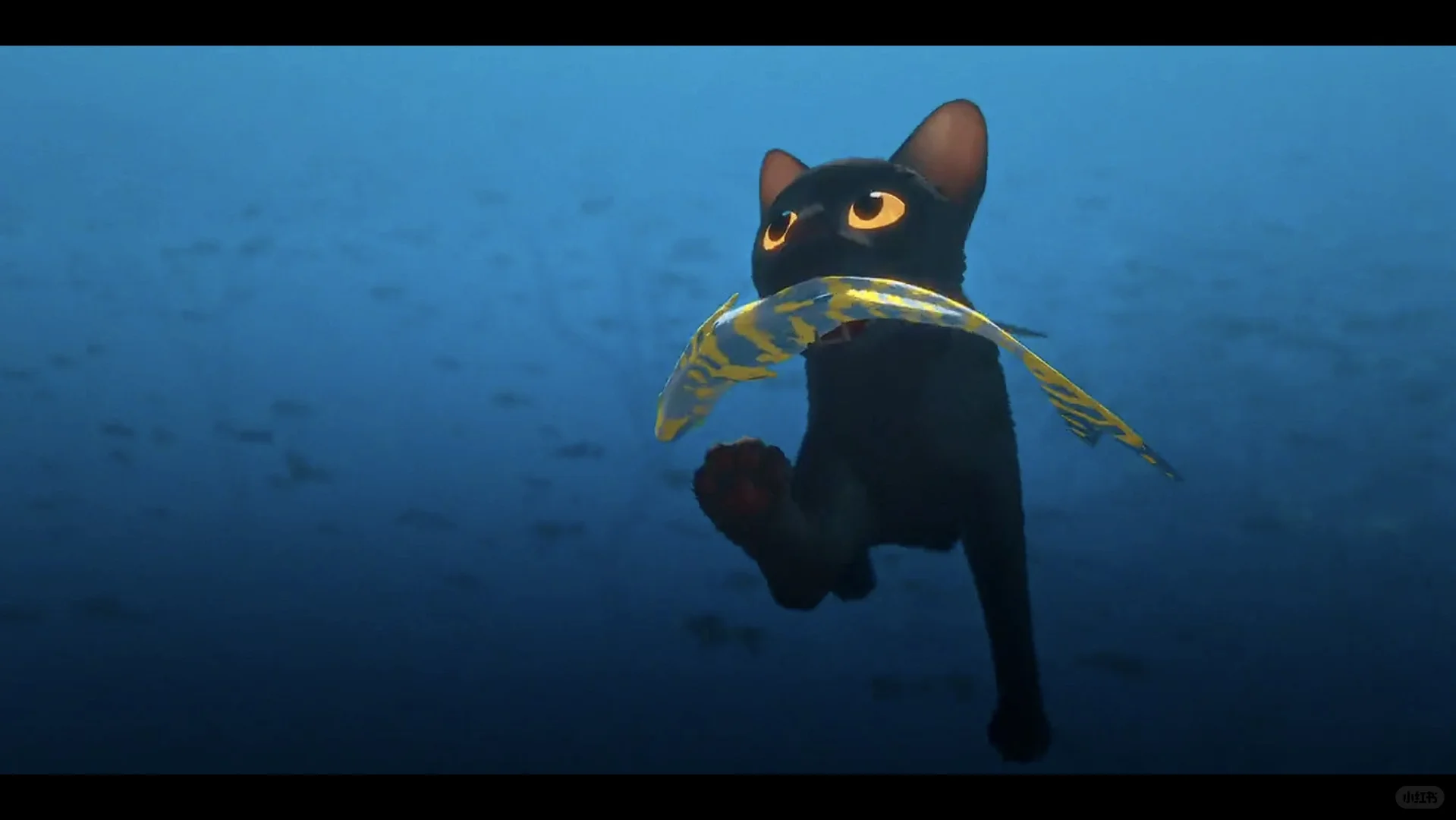 强烈推荐这部电影!