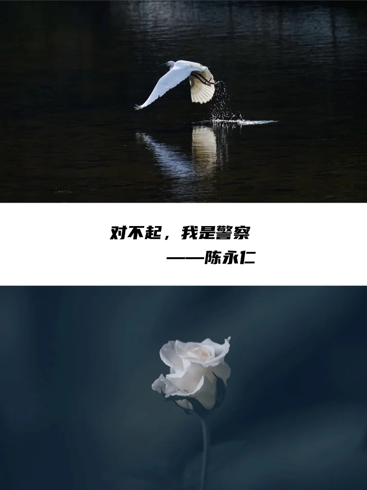 那些年震撼我们心灵的电影台词