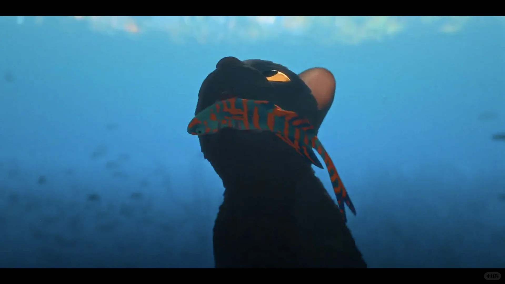 强烈推荐这部电影!