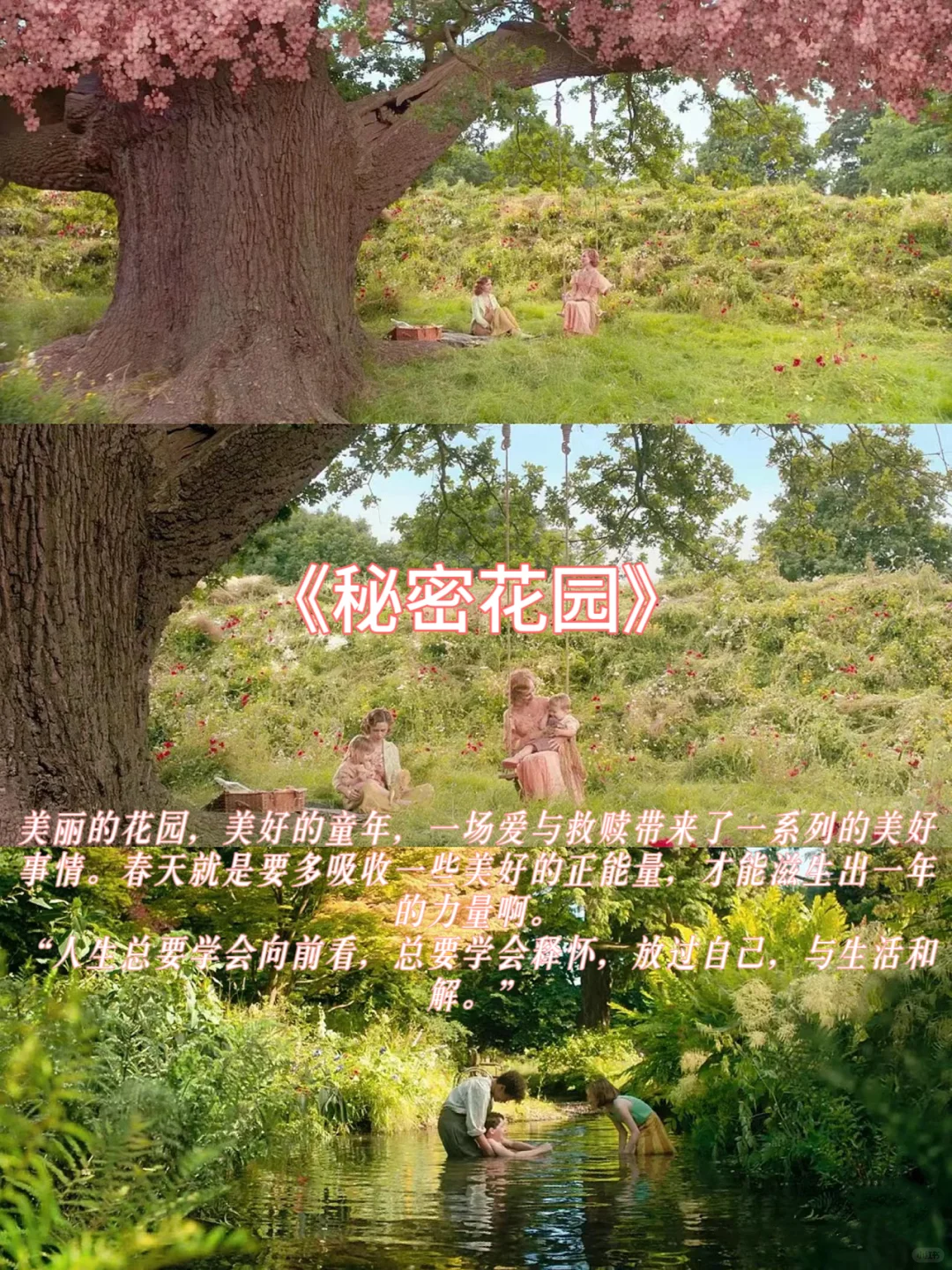 好适合春天看🍀9部治愈度爆表的田园风电影