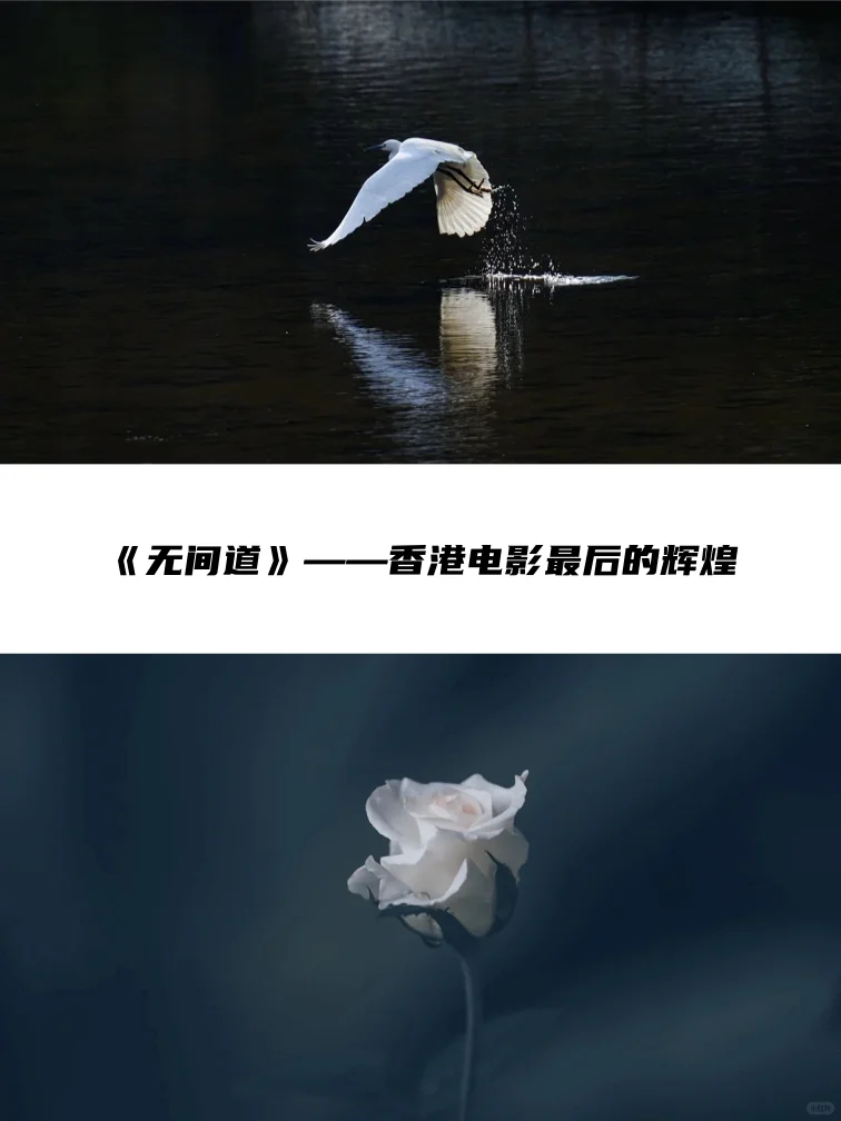 那些年震撼我们心灵的电影台词