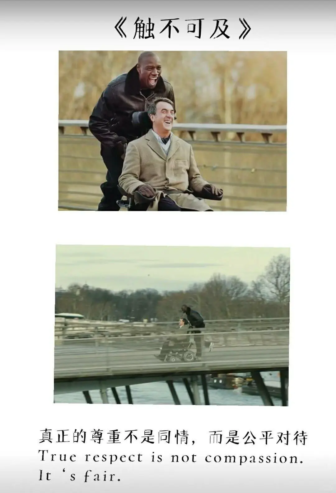 人生必看的十部电影