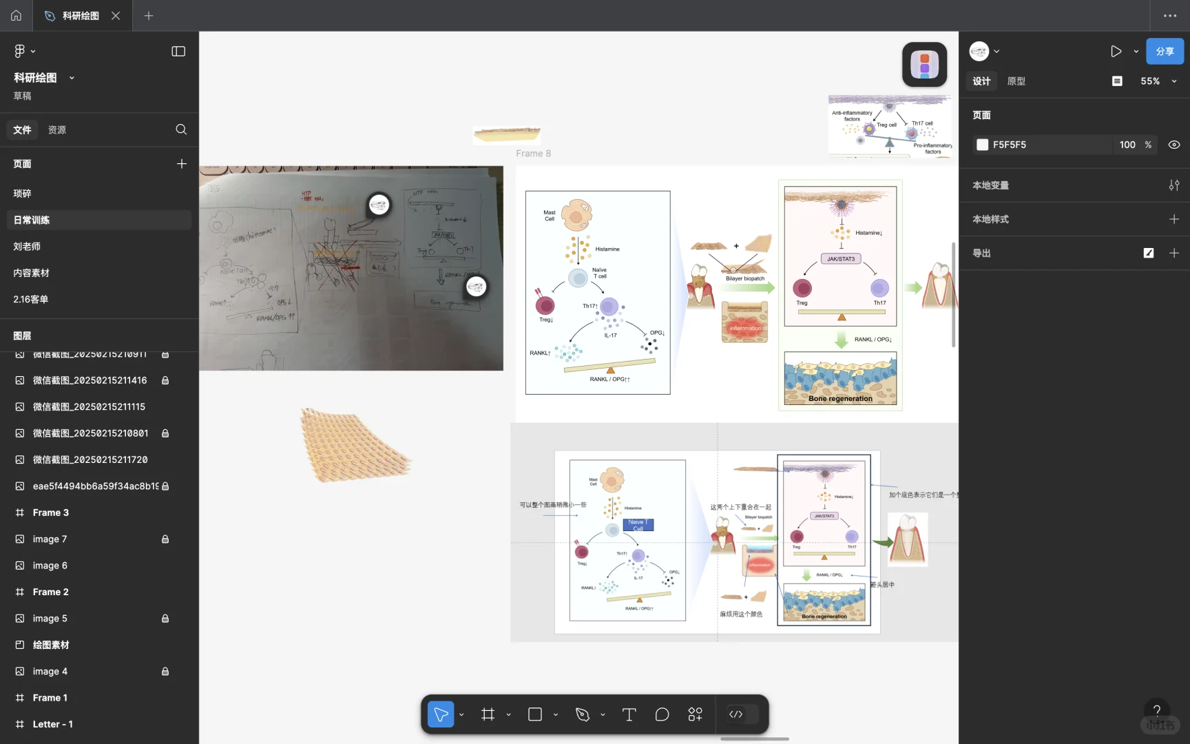 Figma——比ai更好用的科研绘图工具