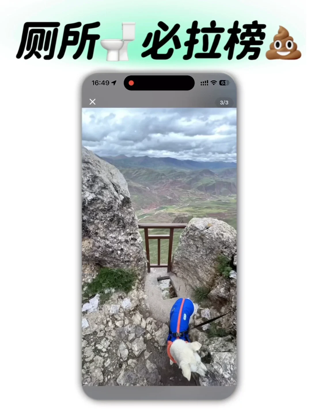 厕所必拉榜💩：离谱、但真香