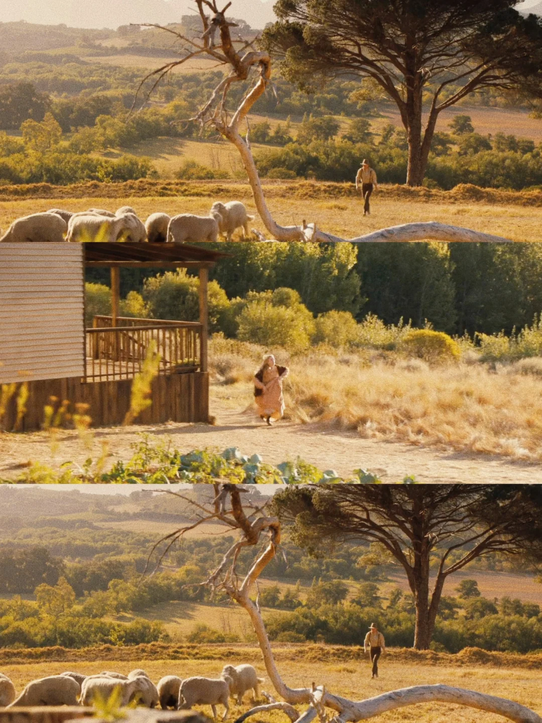 一部浪漫又小众的纯爱电影‼️都快去看😍