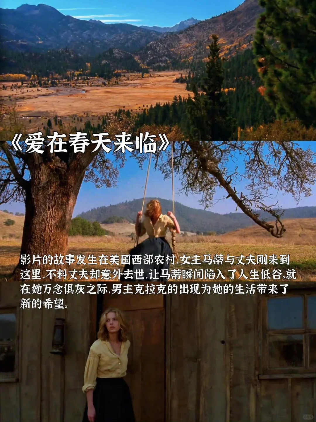 适合春天看的高分治愈系电影 📷